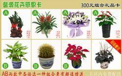 馨源花卉公司 專業(yè)北京禮品花卉與禮品卡一站式供應(yīng)